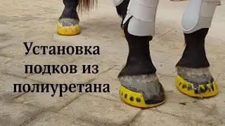 Как установить полиуретановую подкову на копыто лошади?
