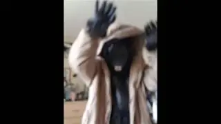 Bad Guy - Except I'm Kermit the Frog after a night of drinking (COVER)