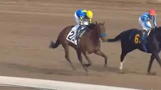 R7- SANTA ANITA USA - 25 JAN 2026