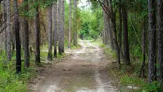 Build your own walking trail #mentalhealth