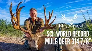 SCI WORLD RECORD MULE DEER 314 7/8