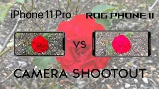 iPhone 11 Pro vs Asus Rog Phone 2: Camera Shootout