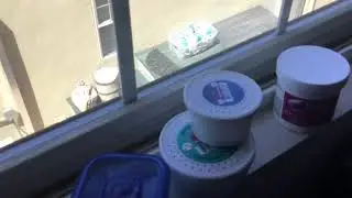 how I gutload my feeder insects! Leopard gecko