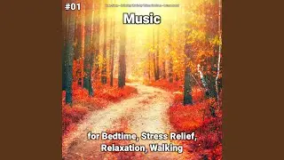 Calm Music