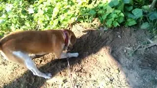 V 20141008 152720