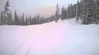 Revelstoke Tree Run