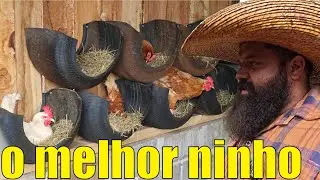 ninhos para galinhas usando pneus velhos