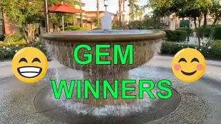 GEM Avocado Tree Winners  500 subs