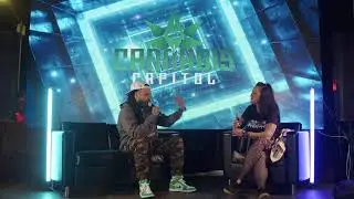 Cannabis Capitol Live at Cali Vibes 2024
