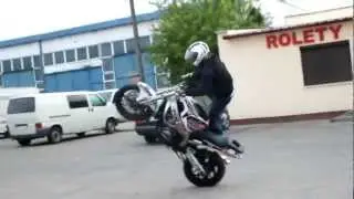 Gryzio New Trick