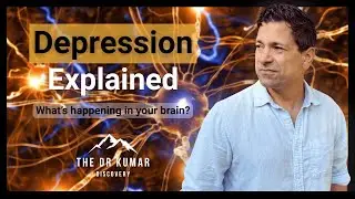 Depression Explained: The Biology Behind the Darkness (Not Just Serotonin) | Part 1