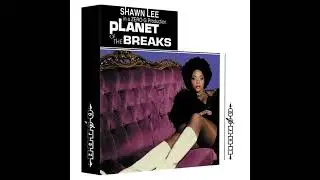 Shawn Lee - Mooloo