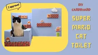 DIY Super Mario Cat Toilet made with cardboard