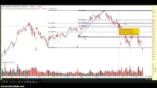 Fibonacci Trading Basics