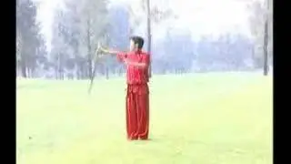 hua style double edge sword form