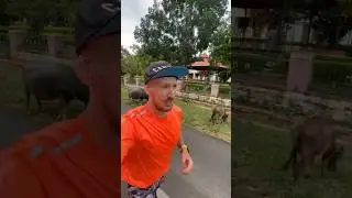 Че по мотивации? #runner #running #training #motivation #sport #тренировки #мотивация #trailrunning