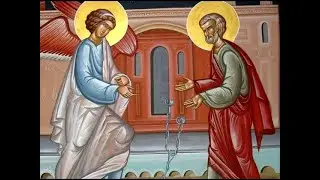Catedrala Eroilor Hunedoara - Transmisie LIVE