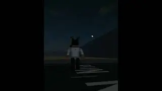 How To Pass The Road | Get Hit By A Car Simulator