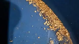 One Easy Hack to Recover More Gold Using a Miller Table!