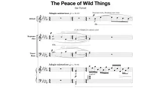 The Peace of Wild Things (Dan Forrest) Score Video