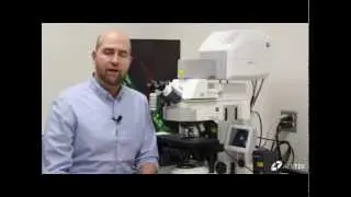 Introduction to ALS Clinical Trial Database