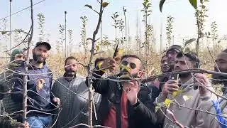 HDP Pruning Full video starting 3-4 years