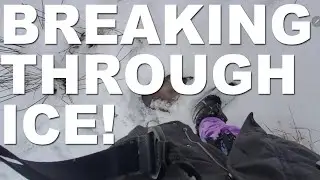 Frozen Pond Walk: Breaking Through Ice & Winter Alders (ASMR)