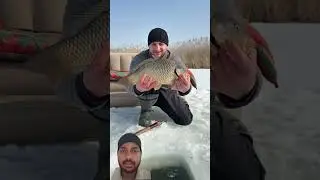 #fishing #carpfishing #survival #cooking new video like kare subscribe kare &hearts;️&hearts;️