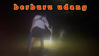 Berburu udang di danau