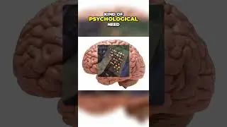 Social Media's Secret - How It Hooks Your Brain Psychology Explained