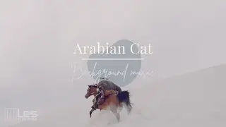 Arabian Cat : Acoustic Piano Background Music