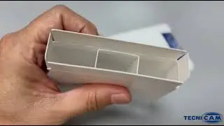 De la idea a la acción 🌟