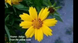 Yiruma - Indigo | From the yellow room