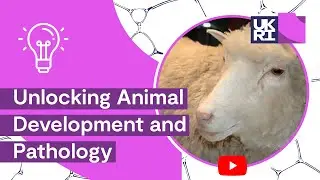 Unlocking #AnimalDevelopment & #Pathology | The Roslin Institute: Beyond Dolly the Sheep