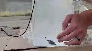 Sling bullet vs ballistic gel test!