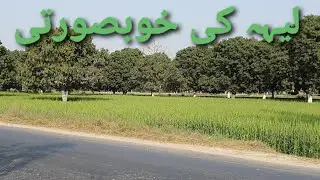 Dera Ghazi Khan to Layyah Beautiful Area| Tonsa Mangoes Orchards|Beautiful Land of Layyah