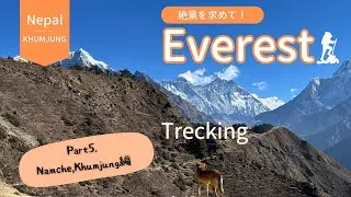 【ネパール】エベレストトレッキング【38歳1人旅】~Part.5 NamcheBazar,Khumjung編~ #海外一人旅 #ネパール #エベレスト #登山 #トレッキング  #ナムチェバザール
