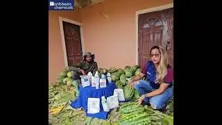 The most successful Watermelon program from Caribbean Chemicals