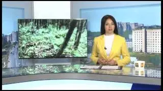807 выпуск Новости ТНТ Березники 5 август 2015