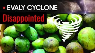 Evaly Cyclone Offer | Disappointed with the packaging