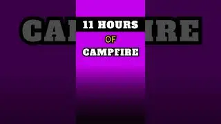 🔥CAMPFIRE 🟪PURPLE SCREEN 🌲Nature Sounds ⏳11 Hours