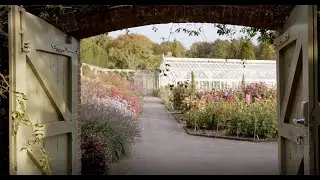 Short Courses in Gardening, Design and Horticulture | West Dean