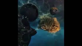 Cosmic Cats NFT Promo Video