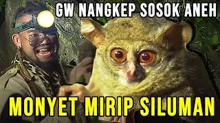 HUNTING MONYET ANEH! TARSIUS !!!?? SULAWESI SELATAN PATUNUANG #AudreyA #KINGOFTHEJUNGLE