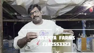 latest updates in egg incubator #aadhyafarms #vijayawada #nunna 