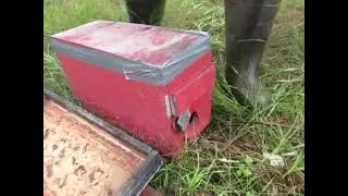 THE HIVE IS UNDER ATTACK duct tape to the rescue ...maybe?