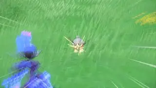 Shiny Seedot - Pokemon Scarlet Violet - Teal Mask DLC