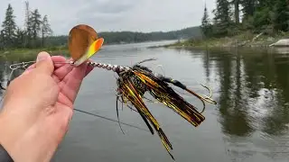 INSANE Summertime Musky Fishing - 6 fish day!