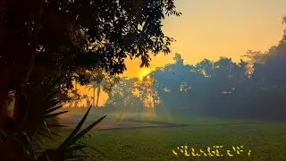 A Village of a Thousand Stories | Rural Bangladesh Cinematic | Rifad Dreamscape