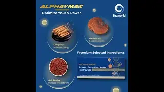 AlphaVmax Review: From Low-Energy to High-Performance with BzzWorld